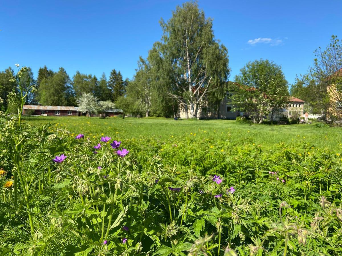 Vojakkala Vandrarhem Haparanda  Bagian luar foto