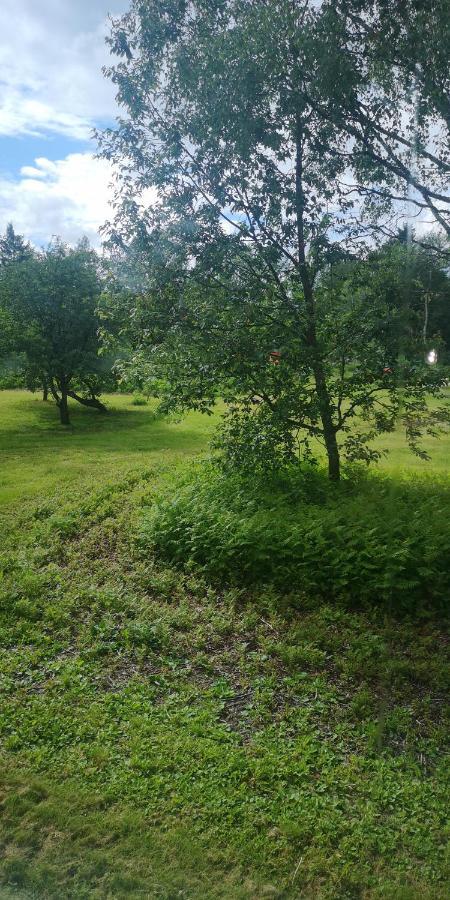 Vojakkala Vandrarhem Haparanda  Bagian luar foto